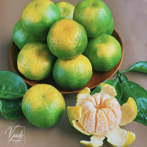 sg-11134201-22100-l90y1ubyo6iv95