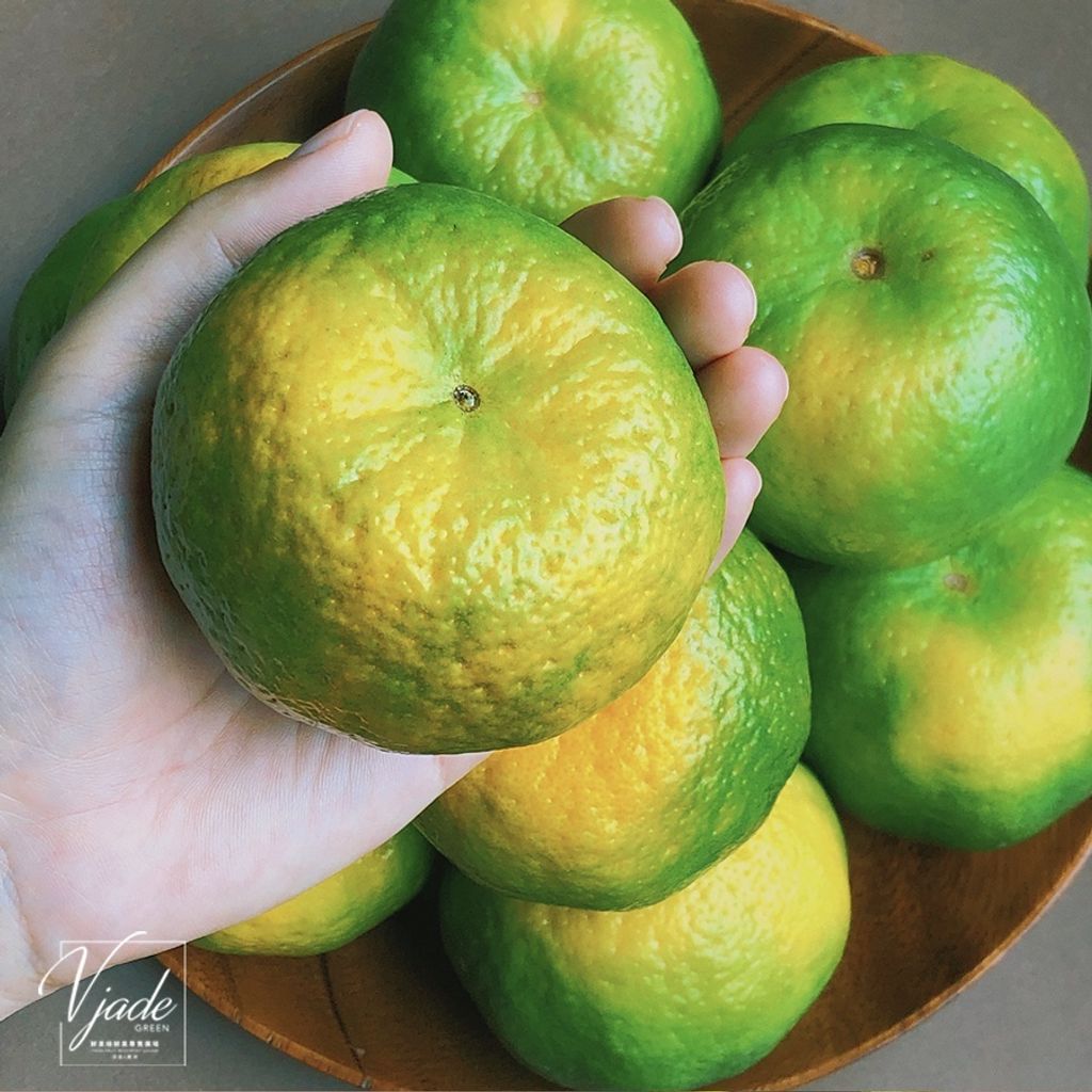 sg-11134201-22100-wty6erbyo6iv41