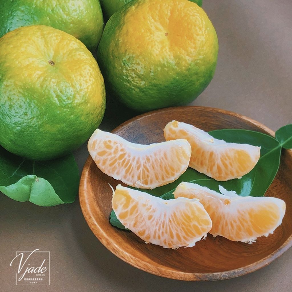 sg-11134201-22100-q8b8ctbyo6iv1a