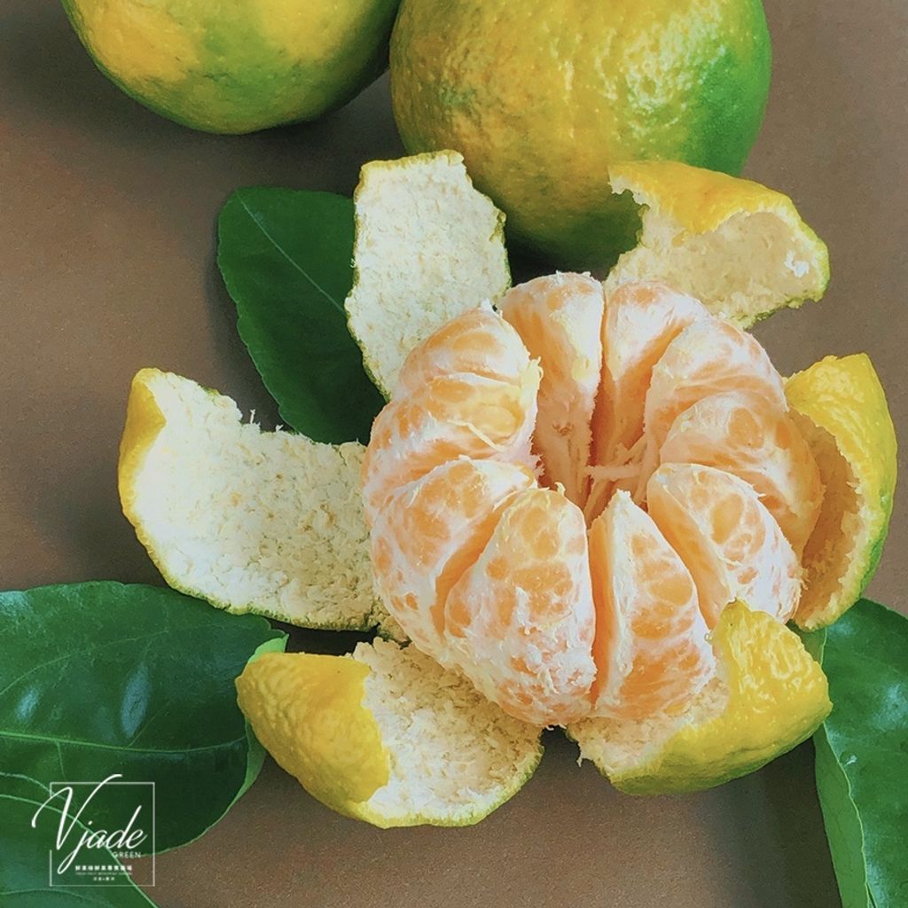 sg-11134201-22100-x6b9mtbyo6iv0c