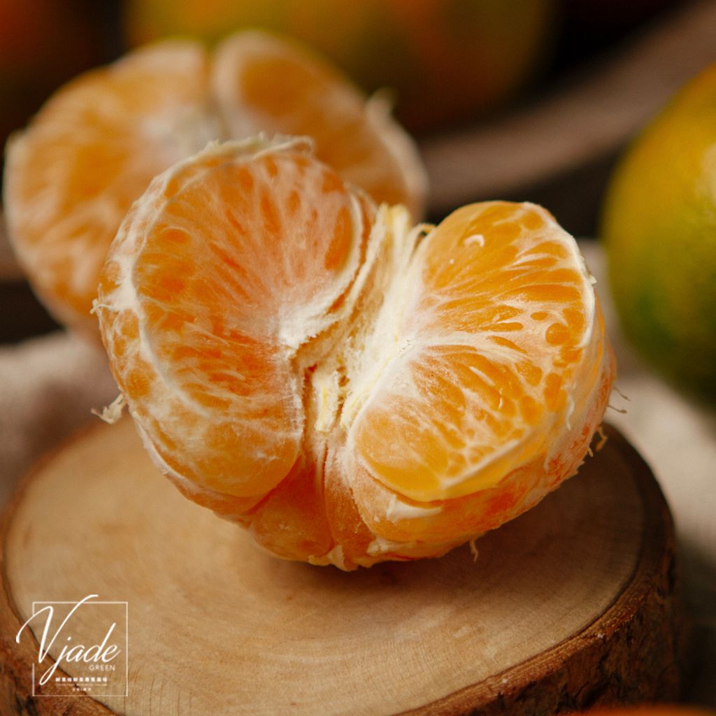 23_佛利蒙橘子-6