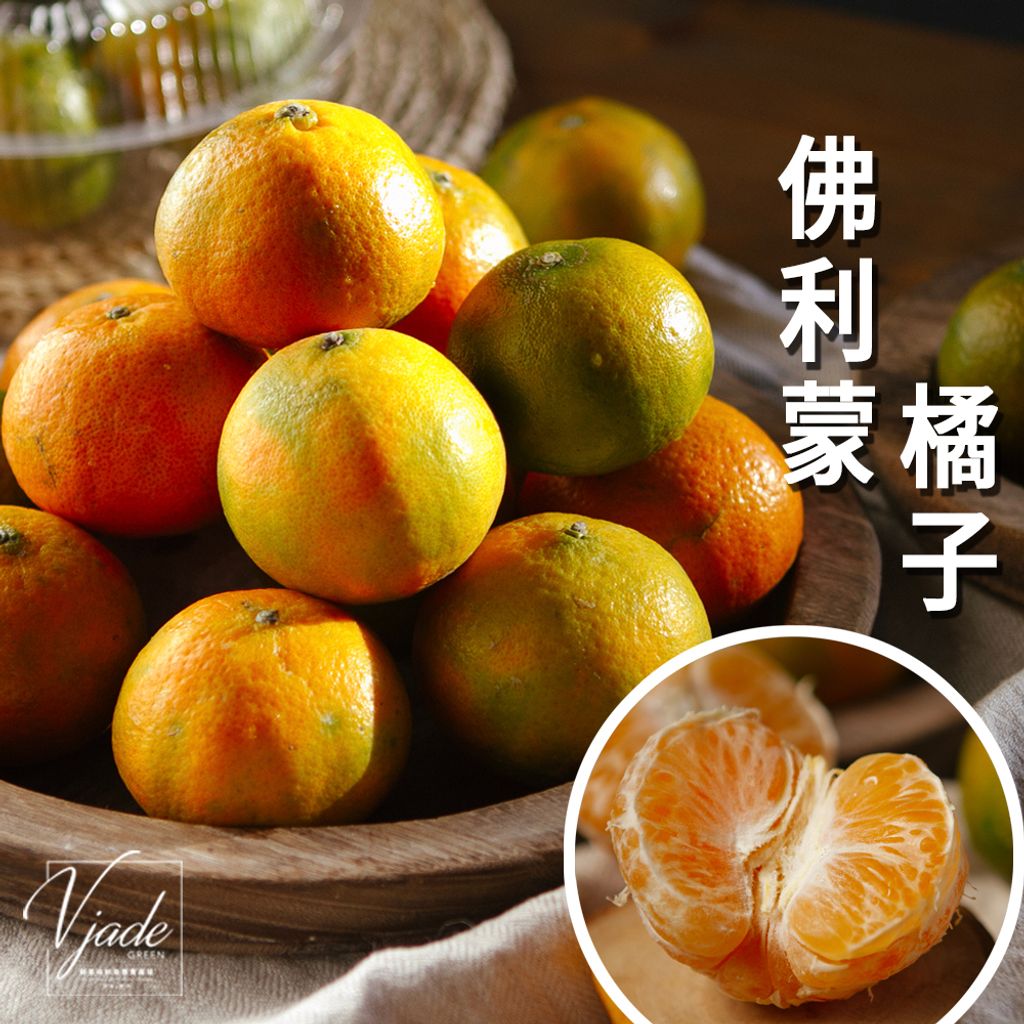 23_佛利蒙橘子-1 copy