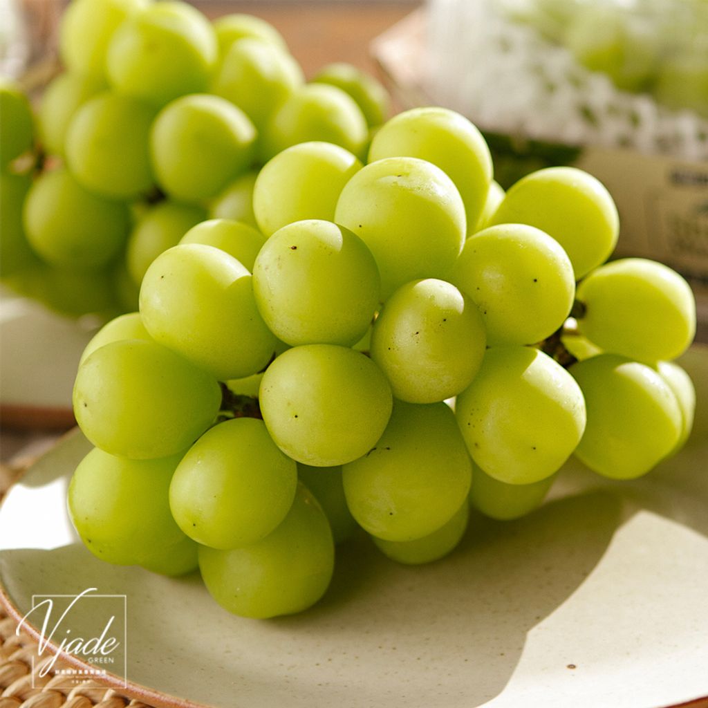 23_韓國麝香葡萄-7