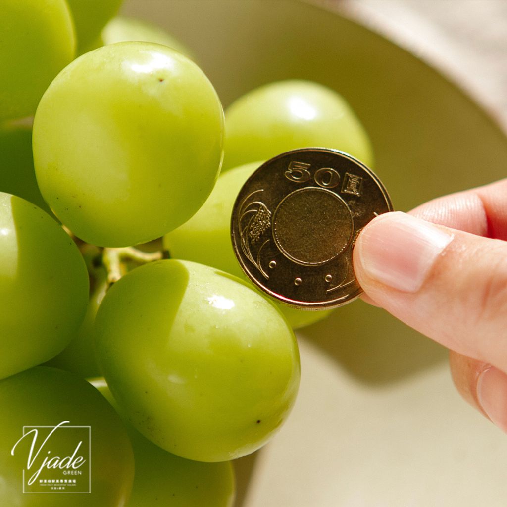 23_韓國麝香葡萄-6