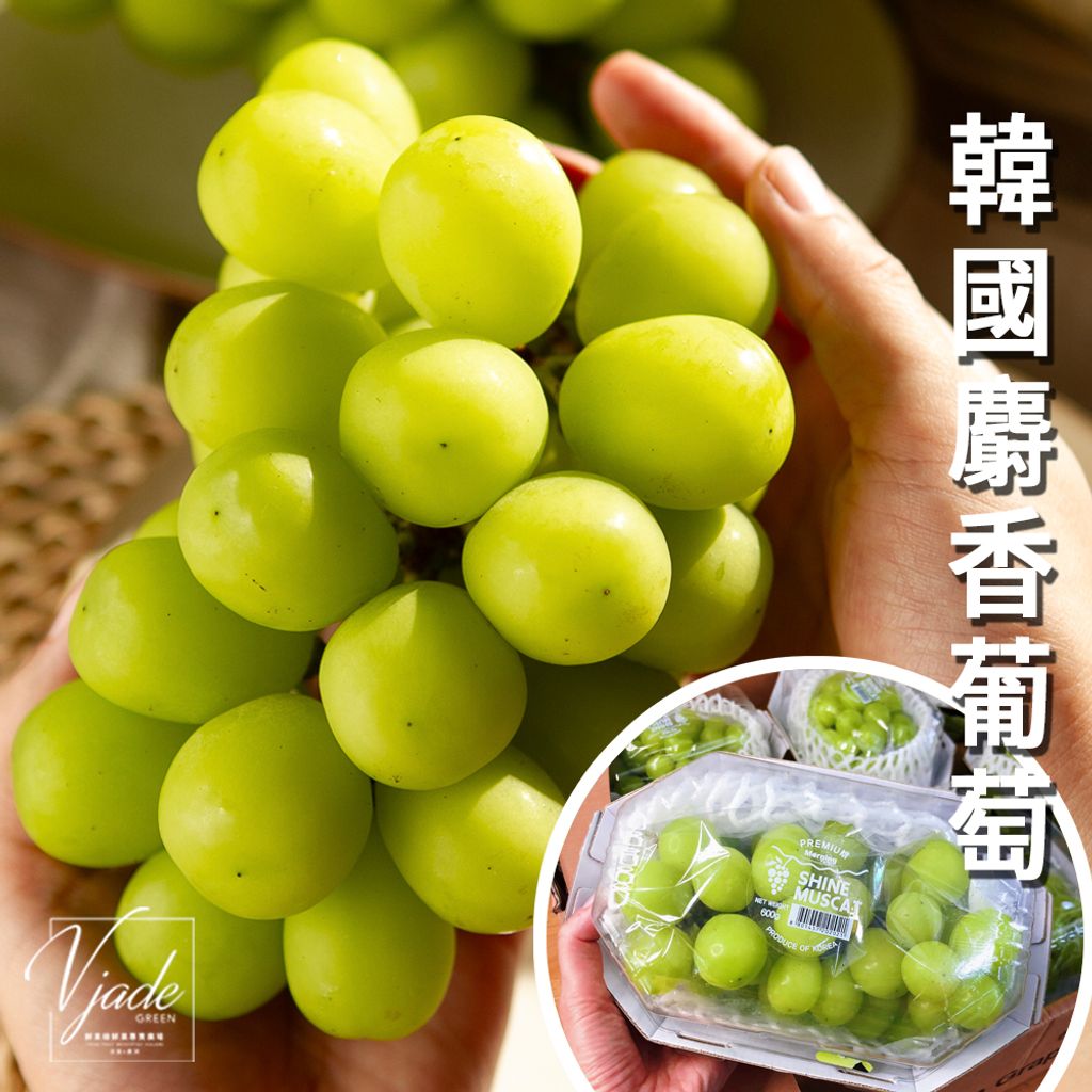 23_韓國麝香葡萄-1-1