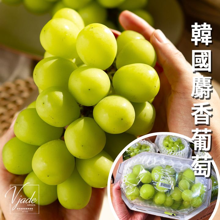 23_韓國麝香葡萄-1-1