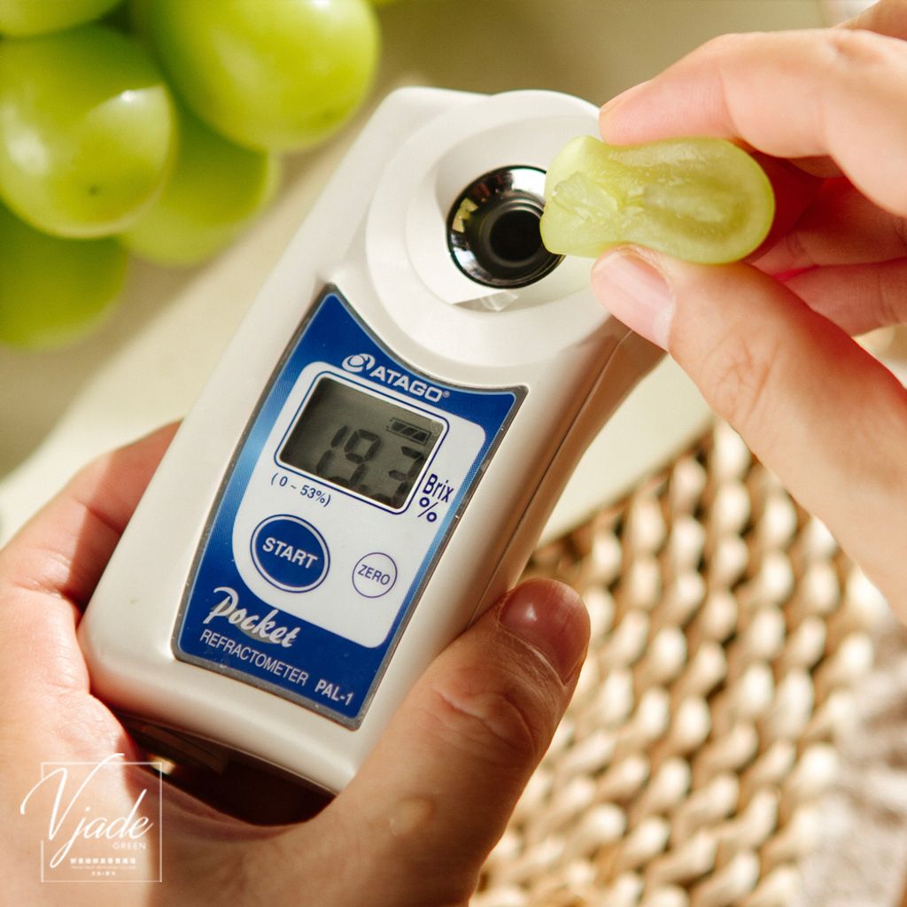 23_韓國麝香葡萄-5