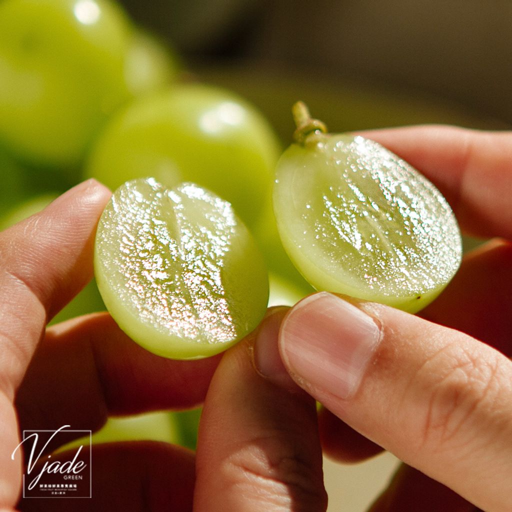 23_韓國麝香葡萄-3