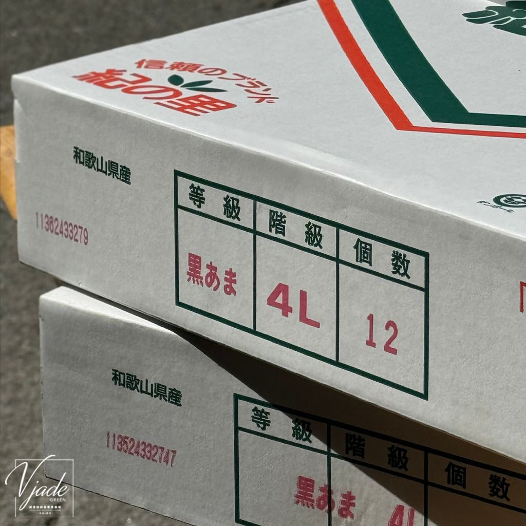 日本黑糖甜柿-06