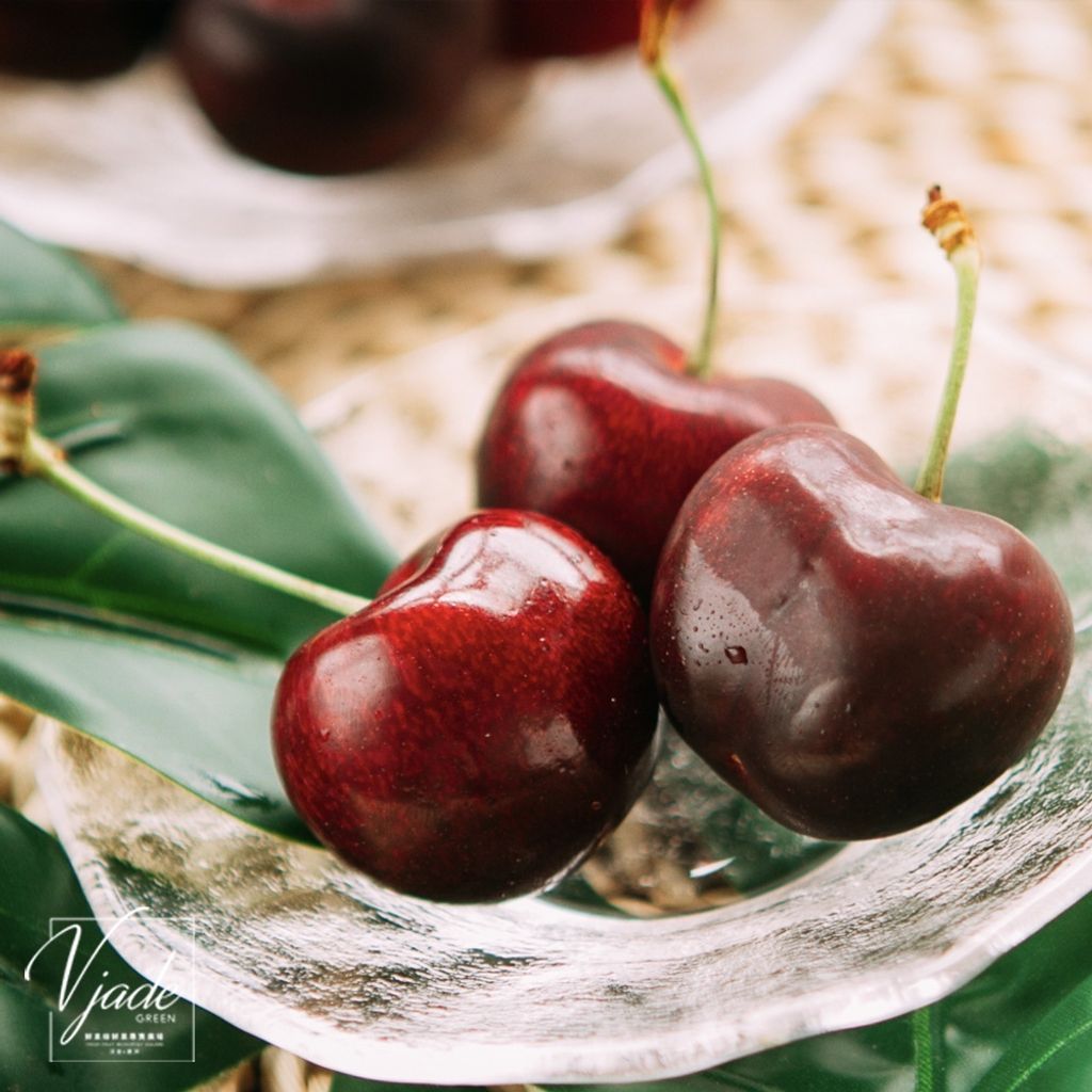 sg-11134201-22120-2mspqlc26olve1