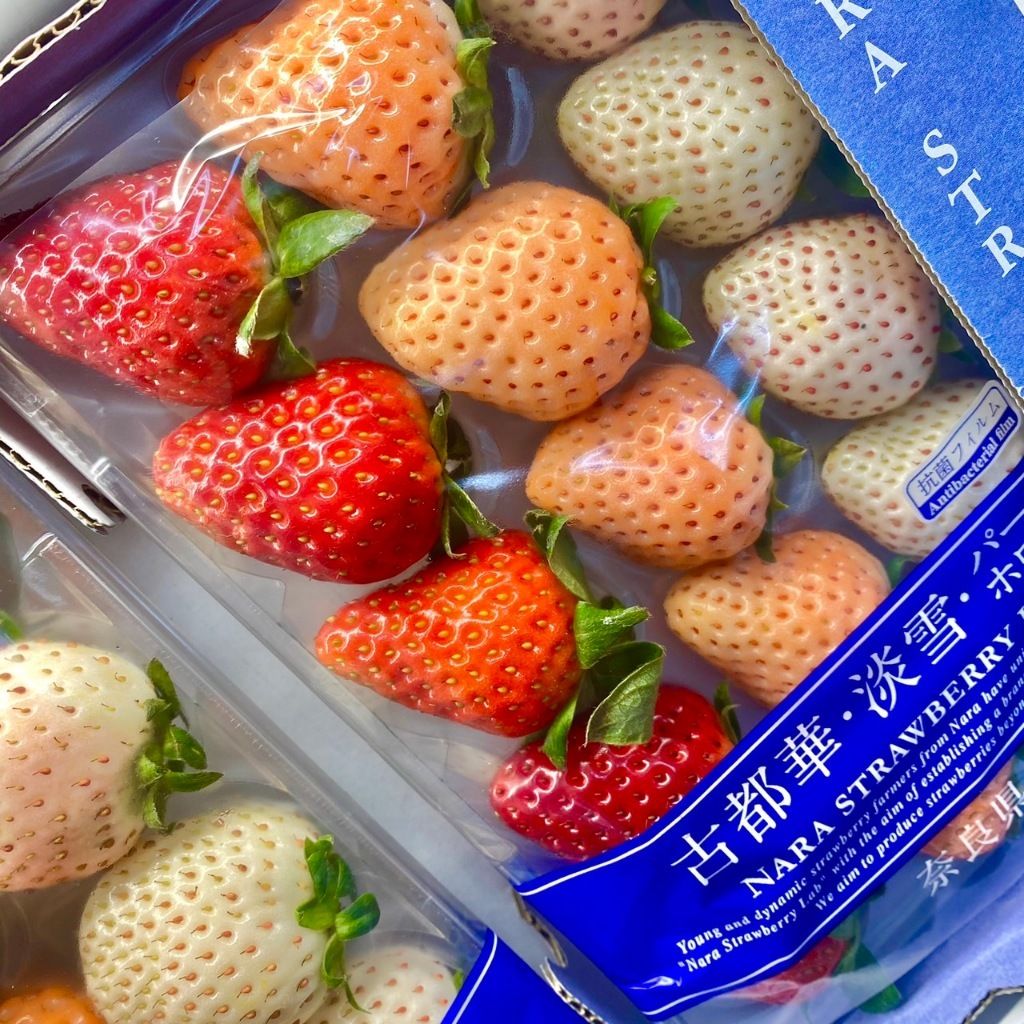 tw-11134207-7r990-lqcujtaqdm2q99