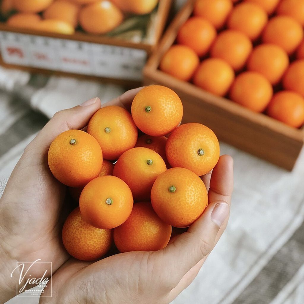 f56660bfdc3db8b284f231ded3f48399