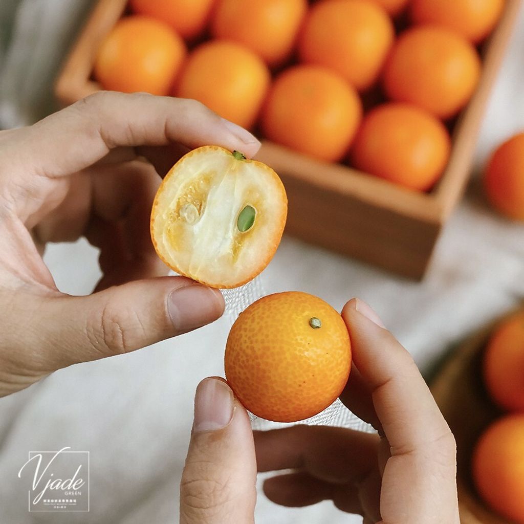 2741e45d628cbd2a28e3a5df6cde1dd0