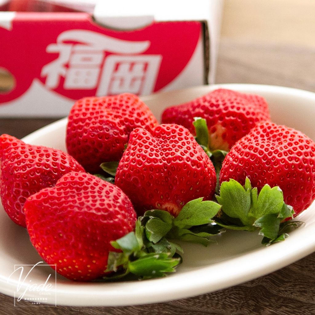 福岡草莓-5