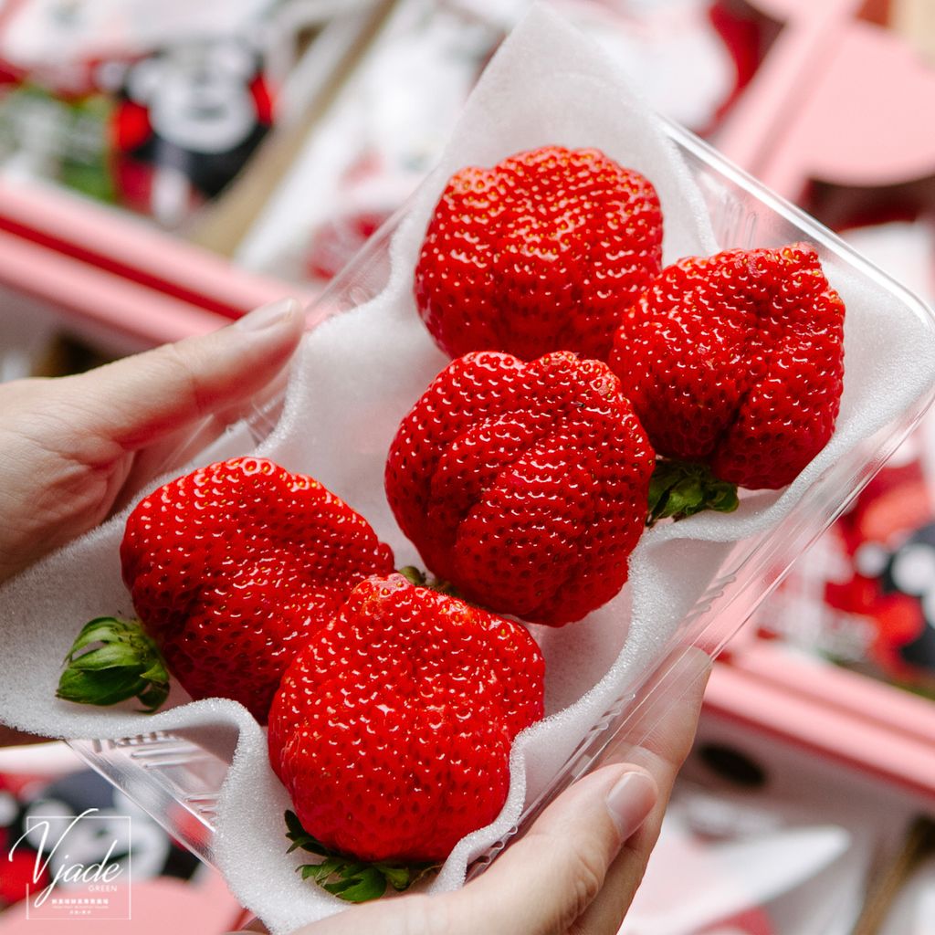 24_熊本草莓_02