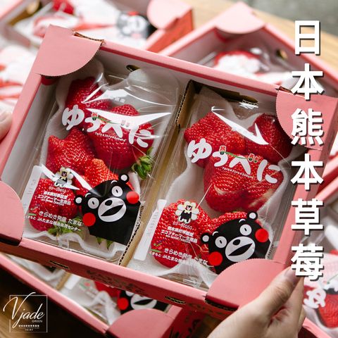 24_熊本草莓_01