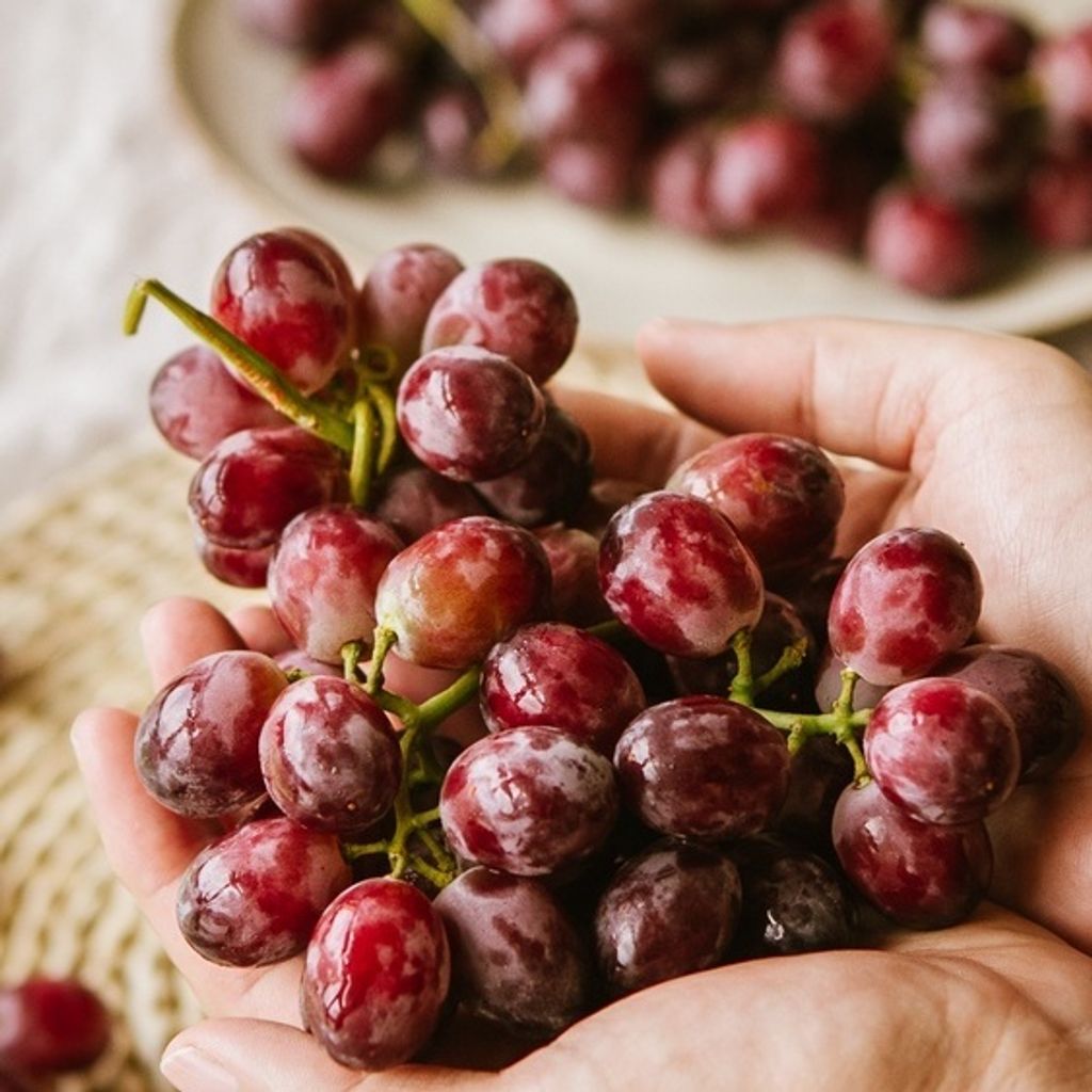 sg-11134201-22090-39wdlnh202hva9