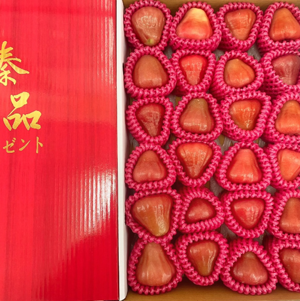 螢幕擷取畫面 2024-02-17 084955