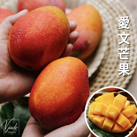 24_0422_愛文芒果-1