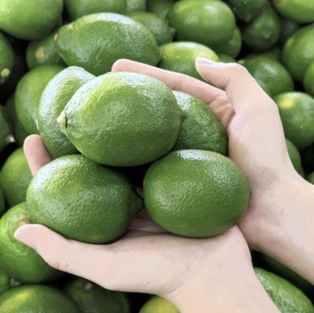 =IBsNMCXn7YKg0x_1665214013