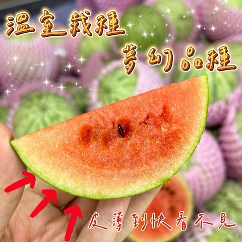 S__61677799