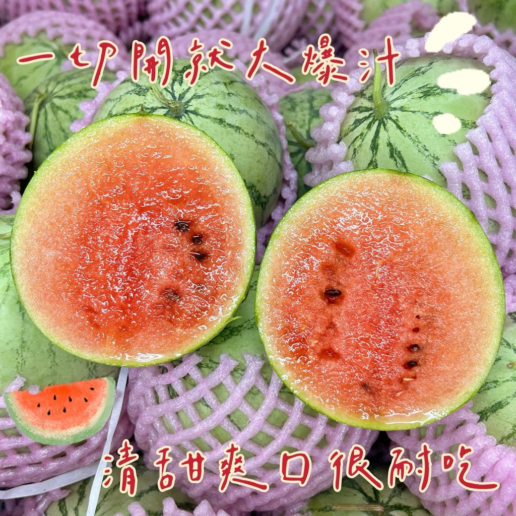S__61677797