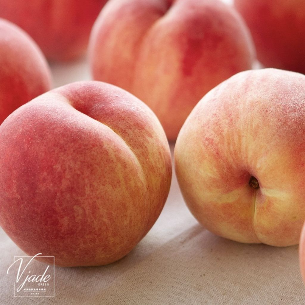 tw-11134207-7r98z-luzuo35cv01i22