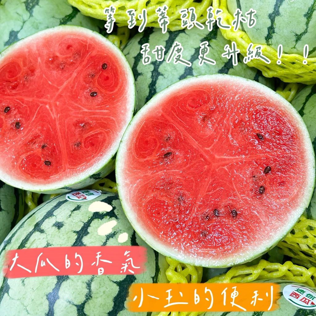 S__62292108