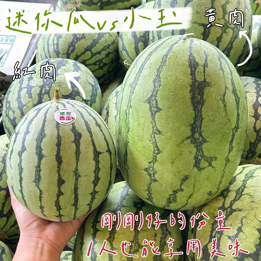 S__62292107