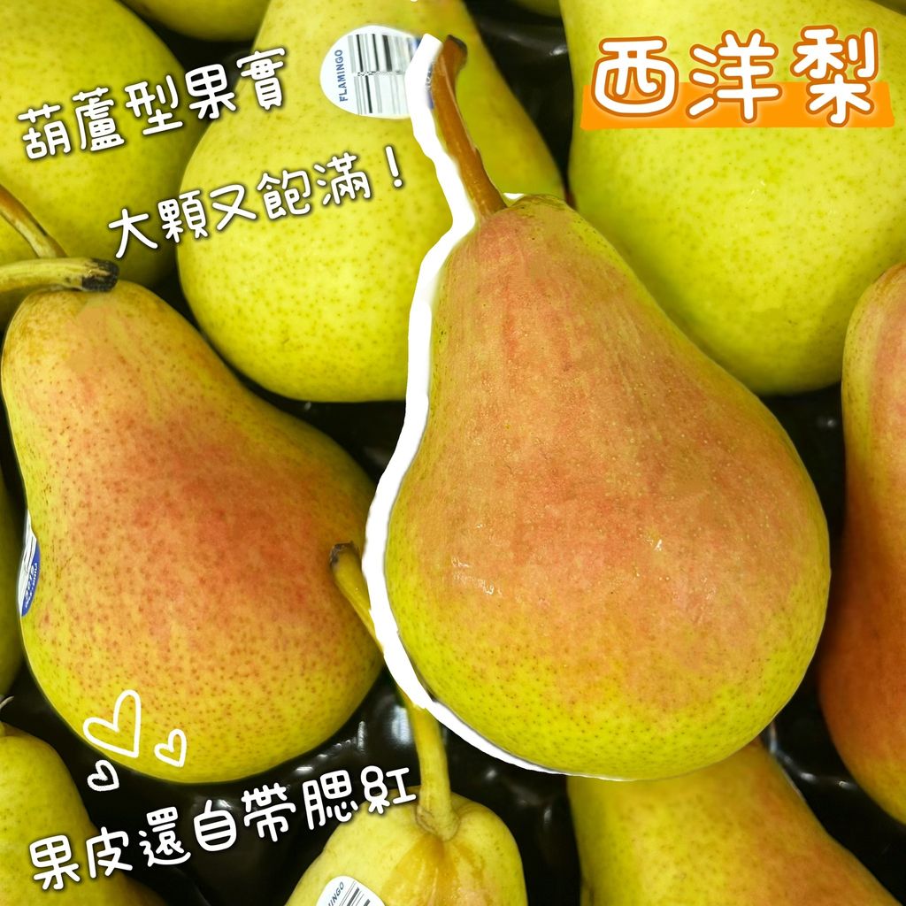 西洋梨單顆
