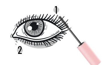 Lashcare.ft