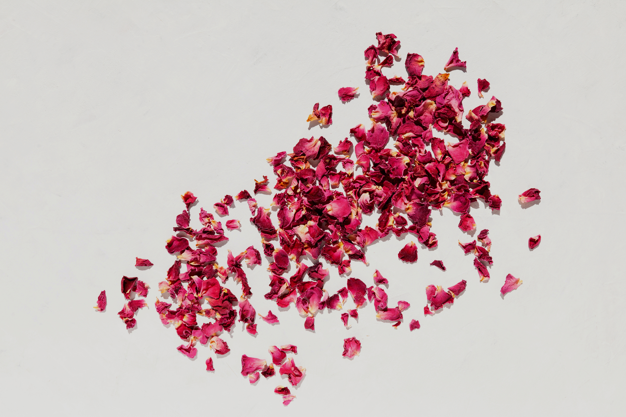 dried-rose-petals-light-background-top-view-space-text