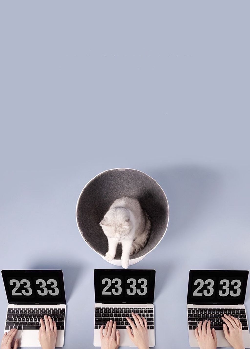 S__10731544