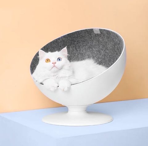 S__10731543