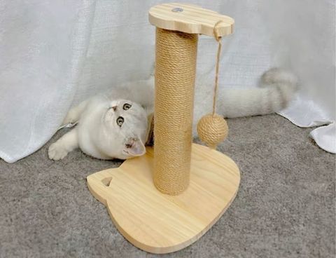 S__11264551