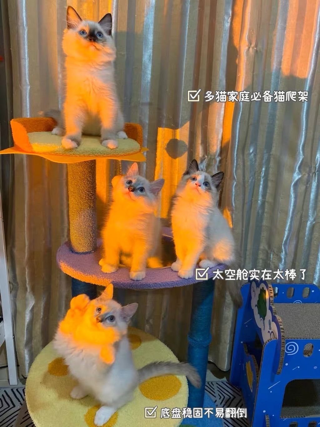 S__83730582