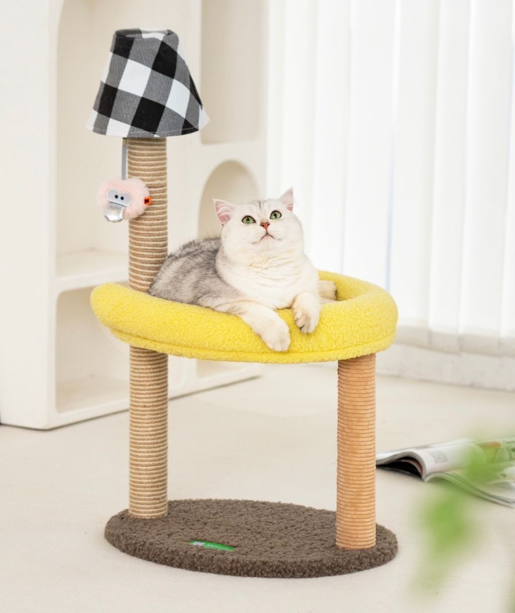 S__83787810