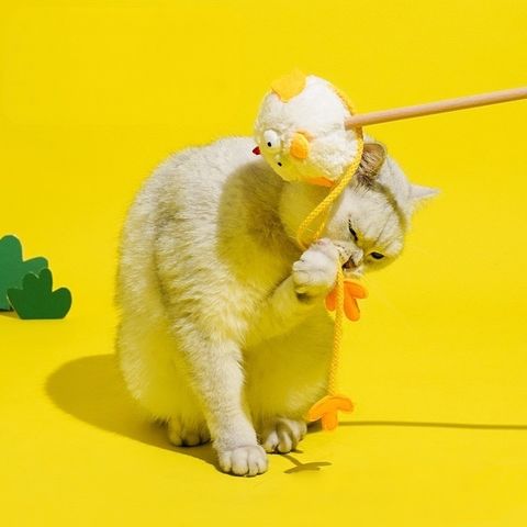 S__85303323