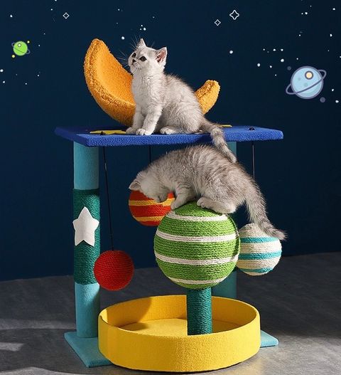 S__85975105