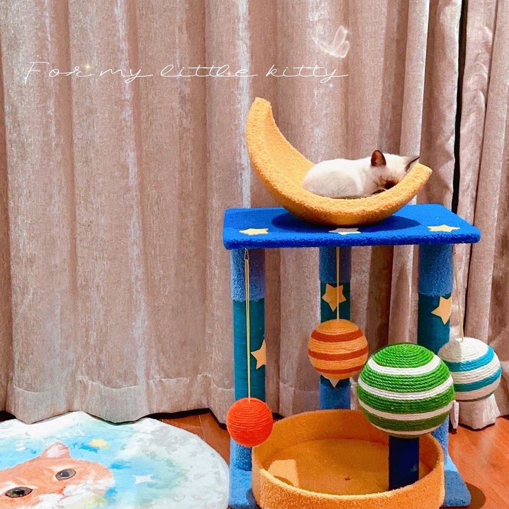 S__85975107