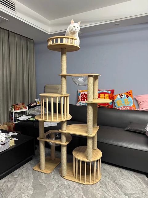 S__91906093_0