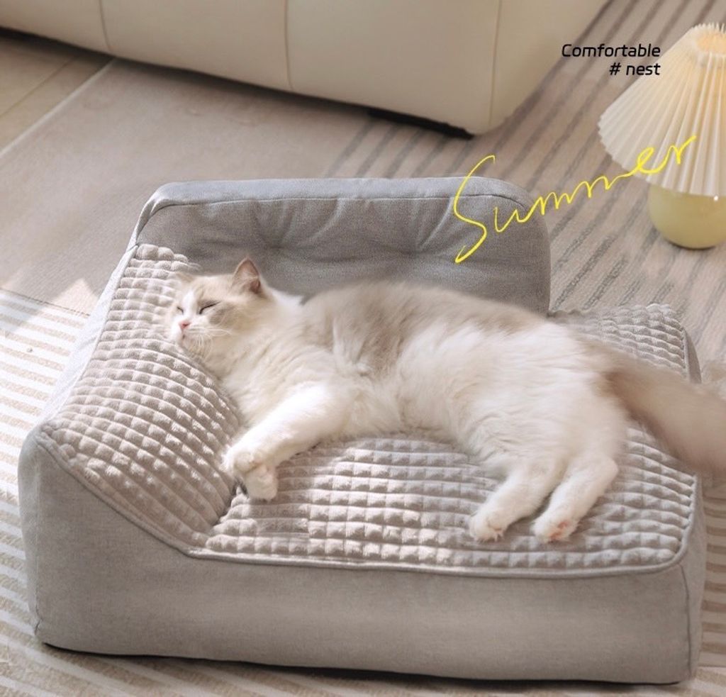 S__93479100_0