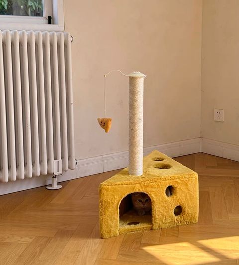 S__94839117_0