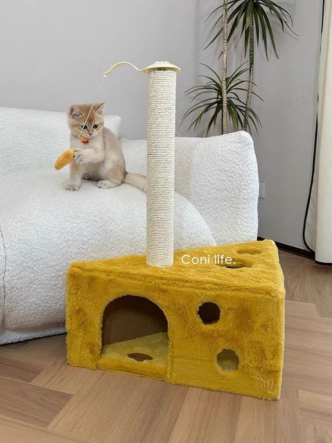S__94839115_0