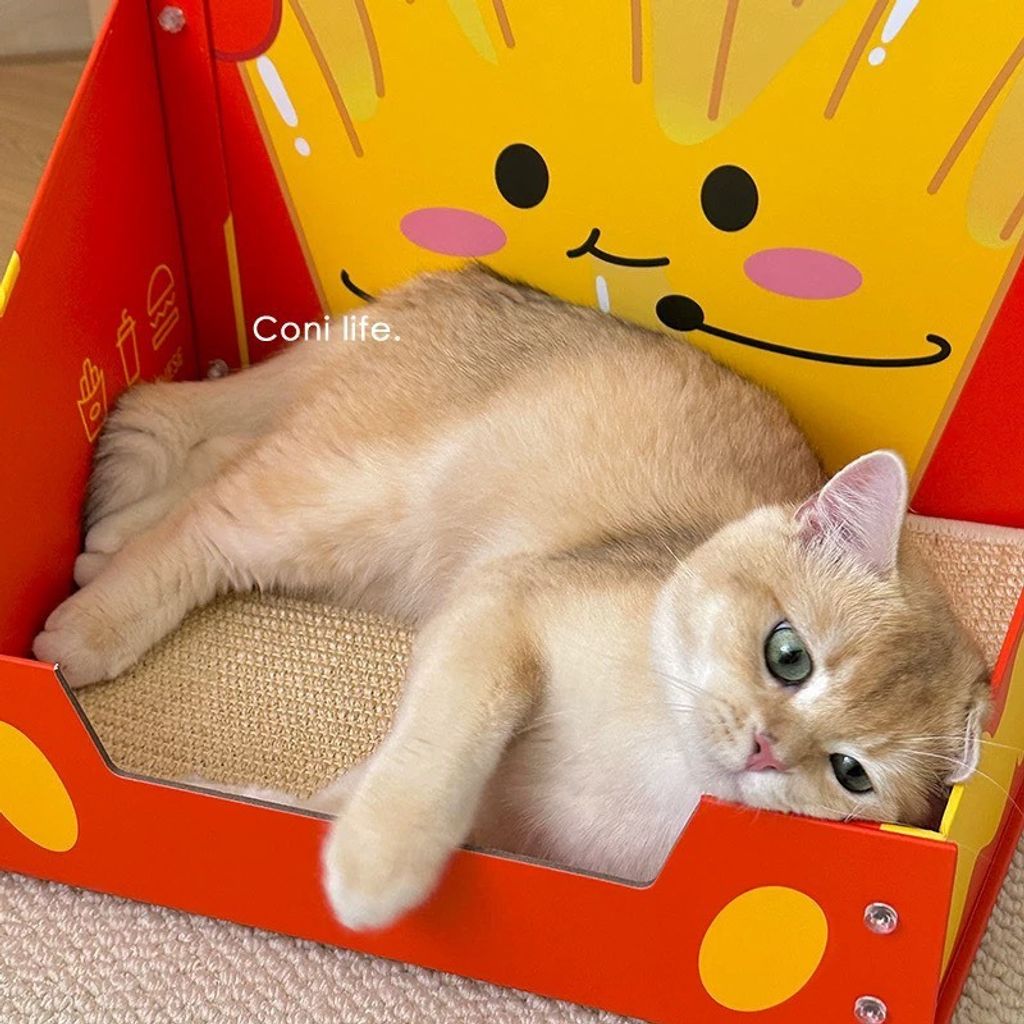 S__141688888_0
