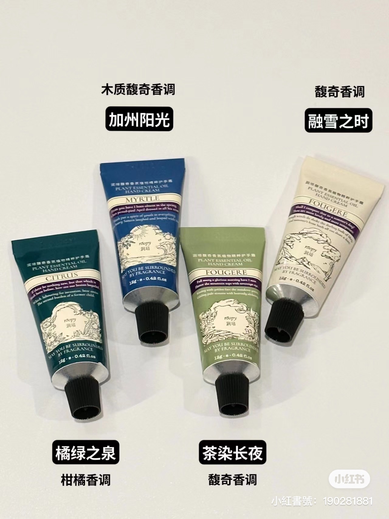 IMG_1017-1698855779275