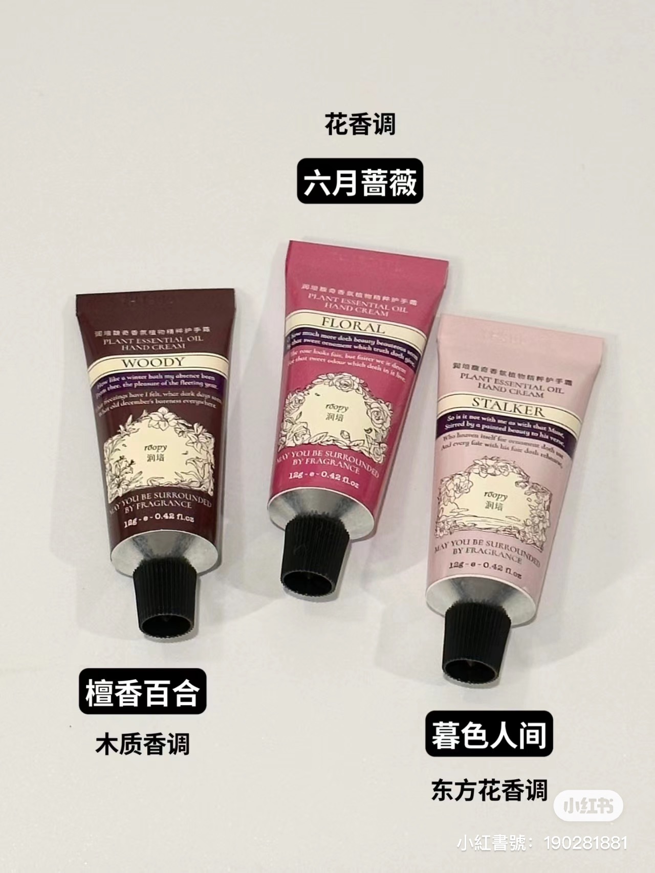 IMG_1016-1698855779283