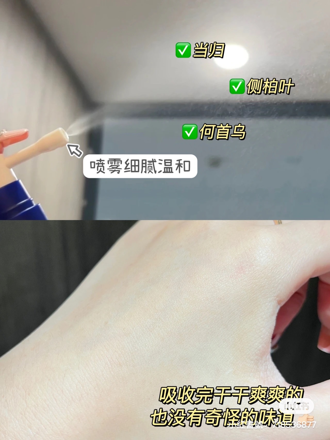 IMG_4164-1701941607719