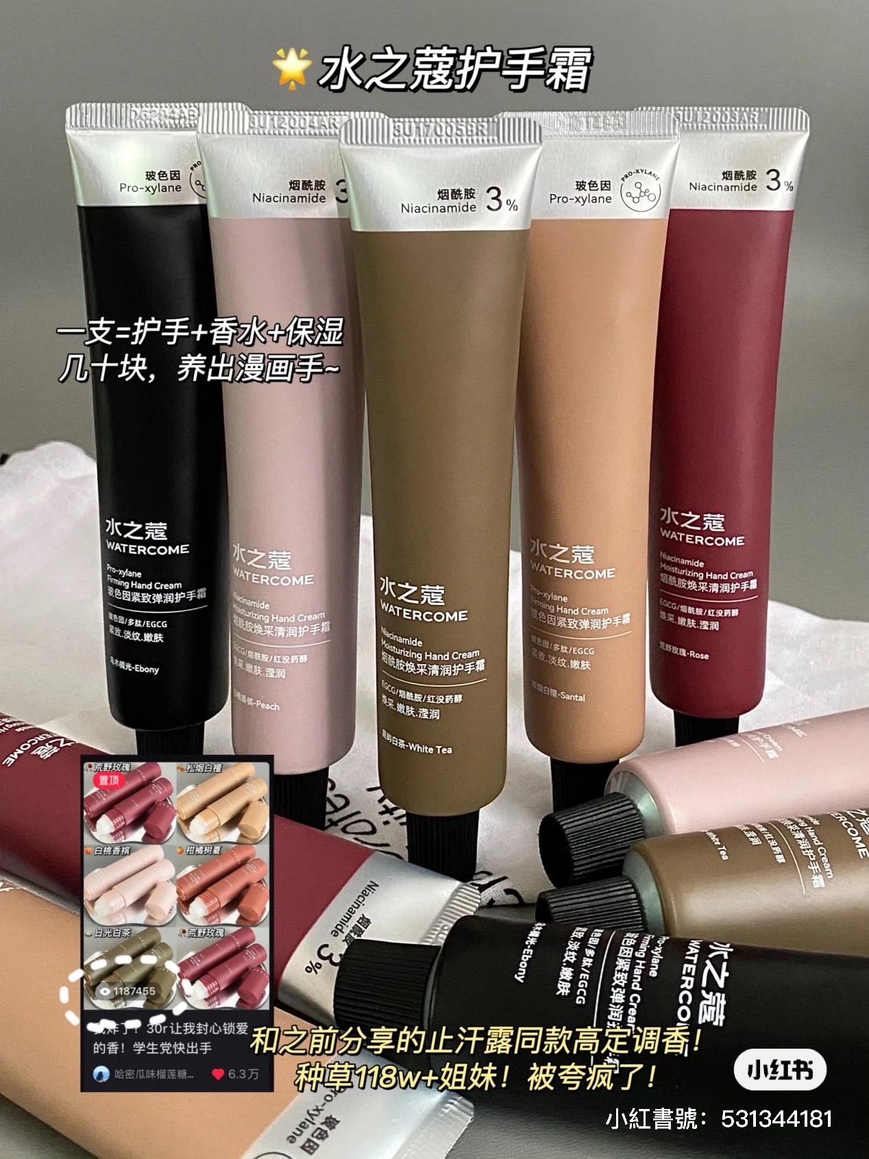 IMG_5407-1702870927871