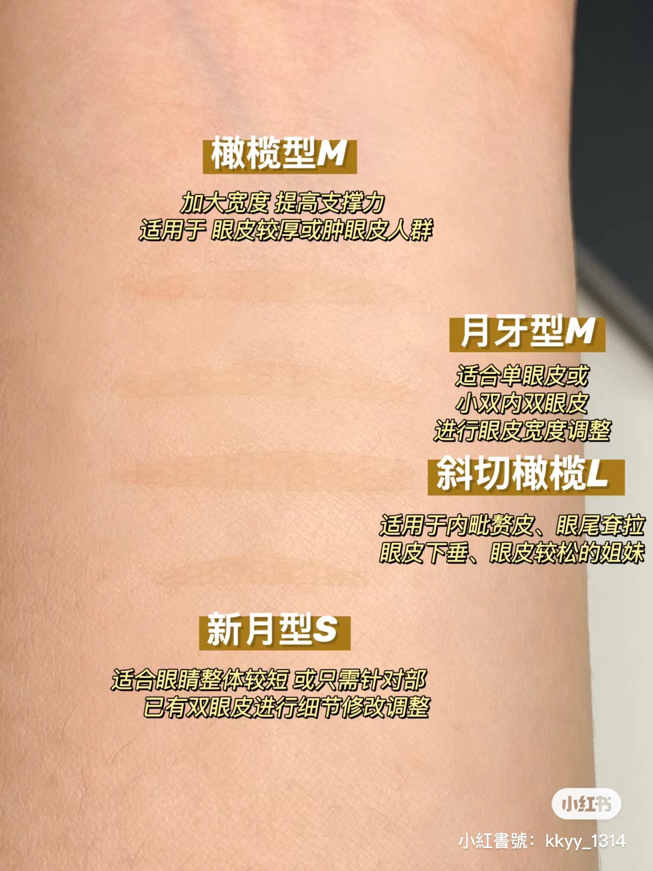 IMG_6295-1704009113992